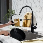 Pull-down-Spring-Goose-Neck-Sprayer-Kitchen-Faucet-3