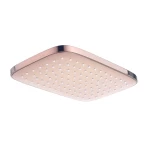 one-function-ABS-rectangle-shower-head-rose-gold