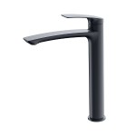 bathroom-vessel-sink-faucet-with-riser