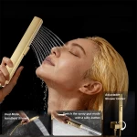2-in-1-handheld-showerhead